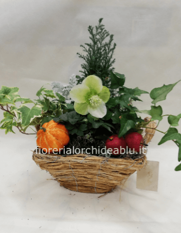 Composizione natalizia